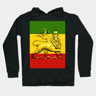 Rasta Lion Hoodie